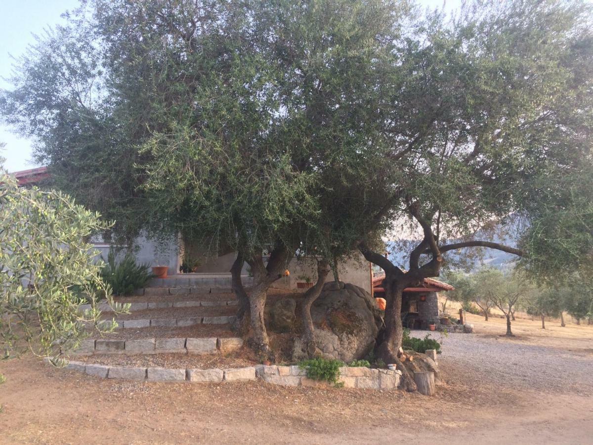 Villa S'umbra de S'ozzastru Orgosolo Esterno foto