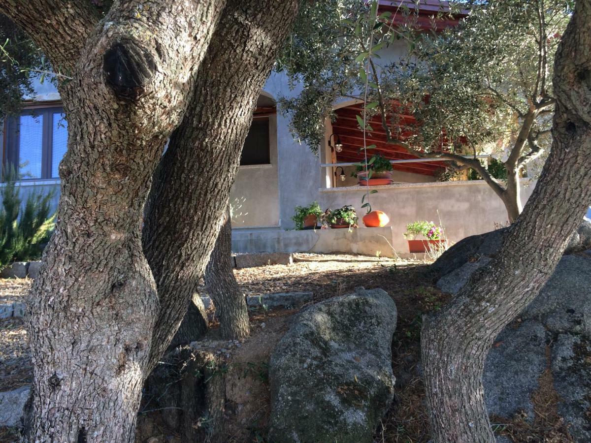Villa S'umbra de S'ozzastru Orgosolo Esterno foto