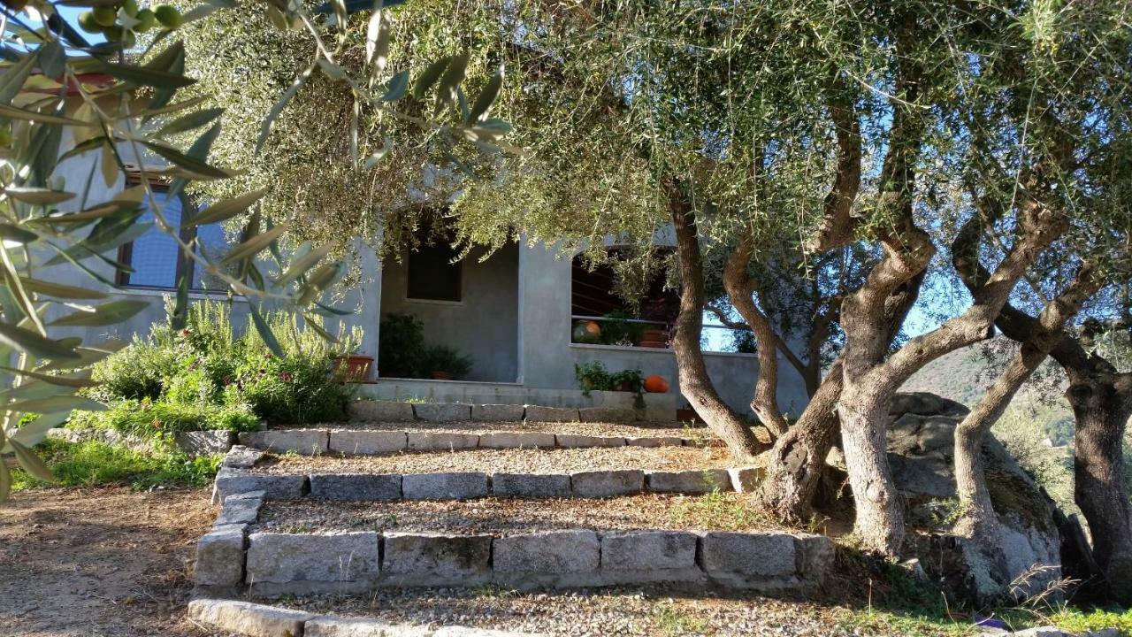 Villa S'umbra de S'ozzastru Orgosolo Esterno foto